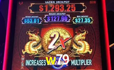A Emoção da Loteria na w79: Uma Chance de Mudança de Vida