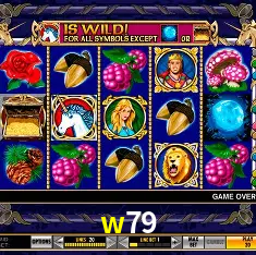 Descubra o Mundo do Cassino Online com w79